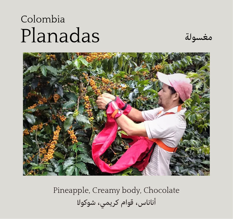 Planadas, Colombia - Mono Roastery