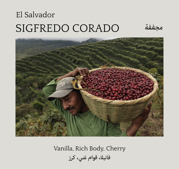 Sigfredo Corado, El Salvadore - Mono Roastery