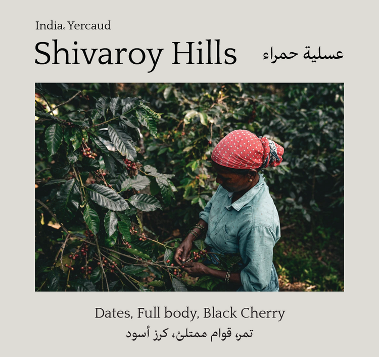 Shevaroy Hills, India - Mono Roastery