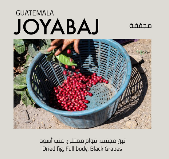 Joyabaj, Guatemala - Mono Roastery