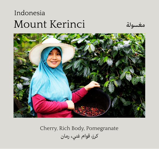 Mount Kerinci, Indonesia - Mono Roastery