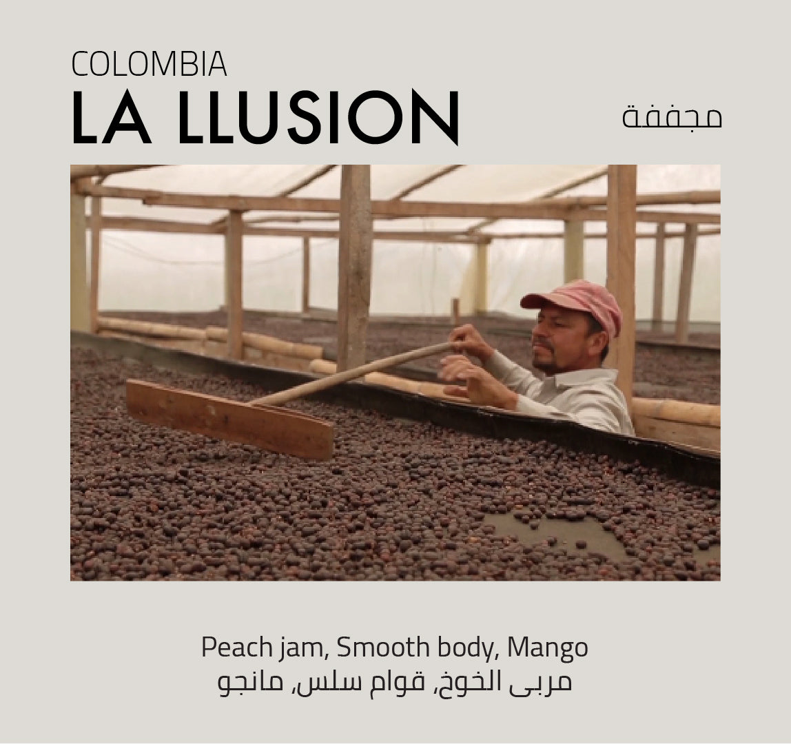 La Llusion, Colombia - Mono Roastery