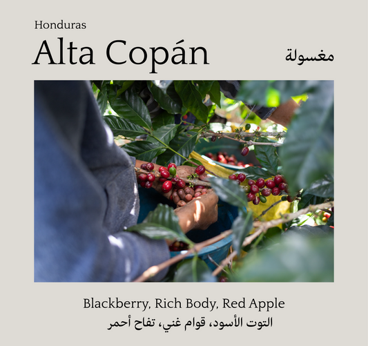 Alta Copán, Honduras - Mono Roastery