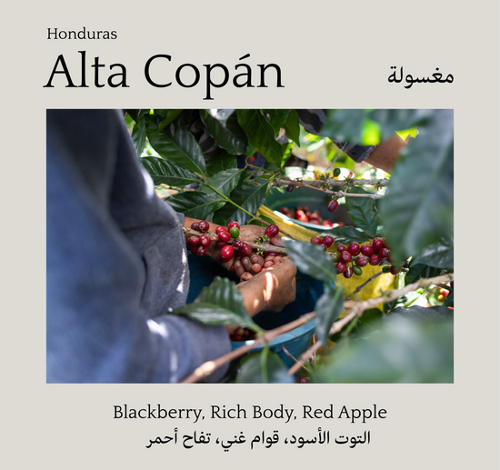 Alta Copán, Honduras - Mono Roastery