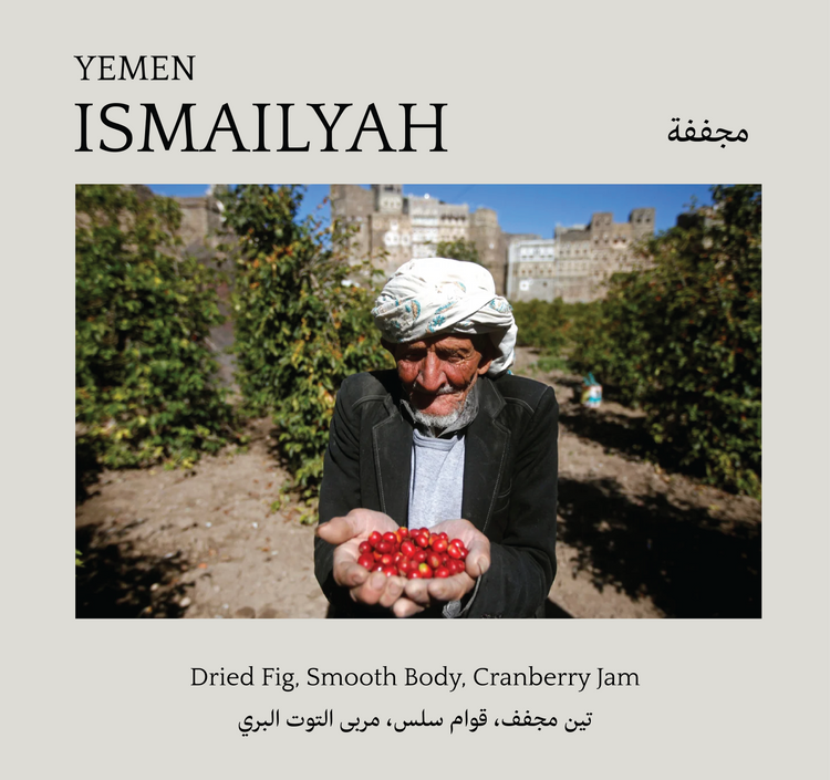 Ismailyah, Yemen - Mono Roastery
