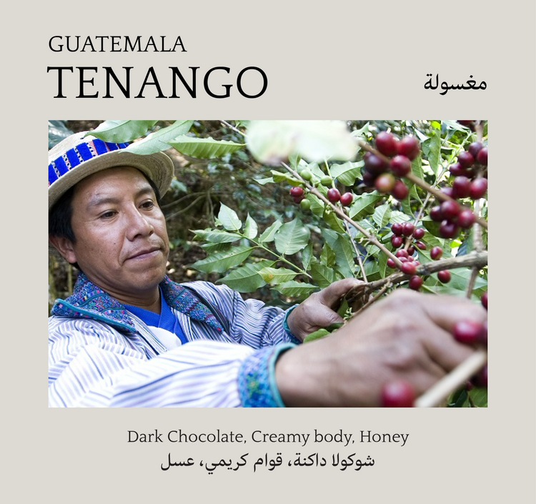 Tenango, Guatemala - Mono Roastery