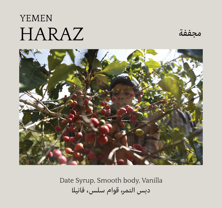 Haraz, Yemen - Mono Roastery