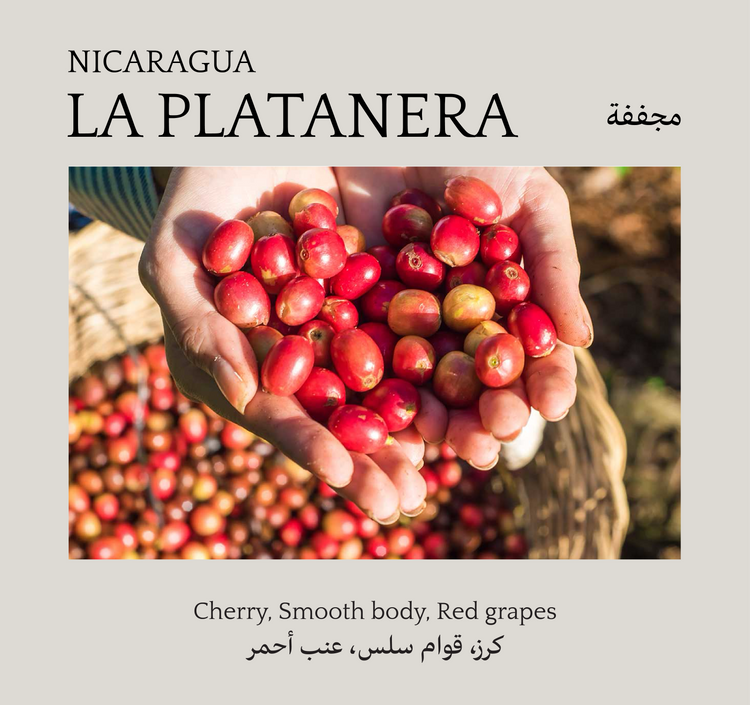 La platanera, Nicaragua - Mono Roastery