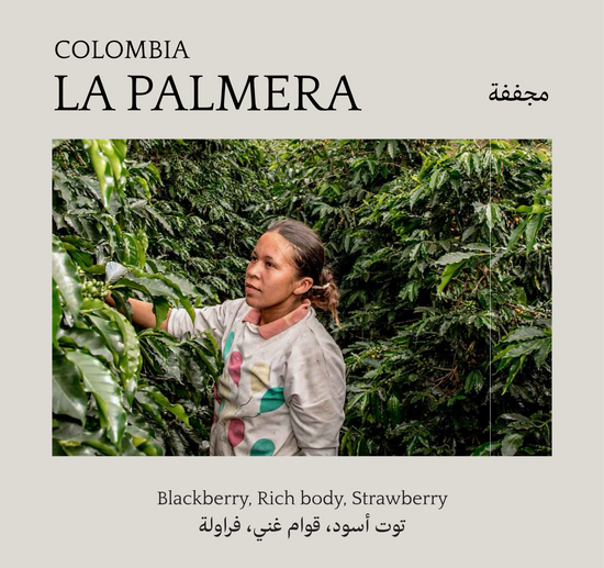 La Palmera, Colombia - Mono Roastery