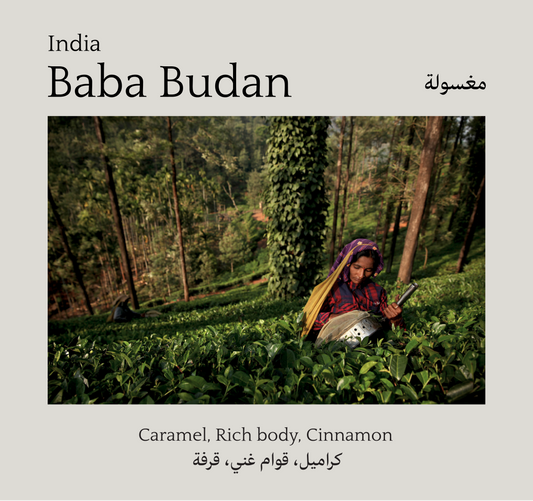 Baba Budan, India - Mono Roastery