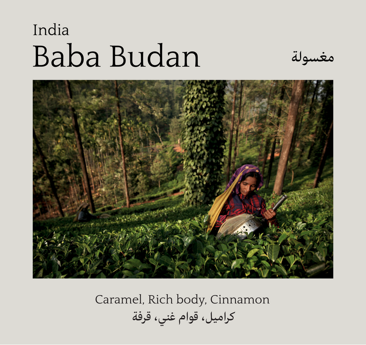 Baba Budan, India