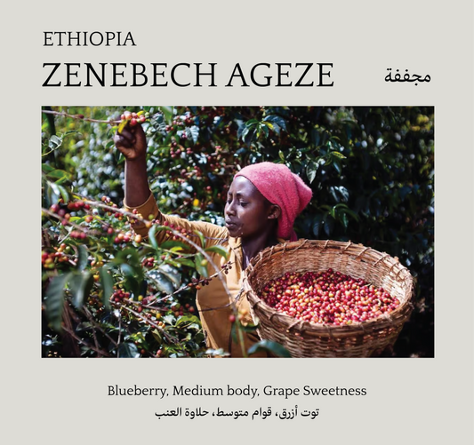 Zenebech Ageze، ِEthiopia - Mono Roastery