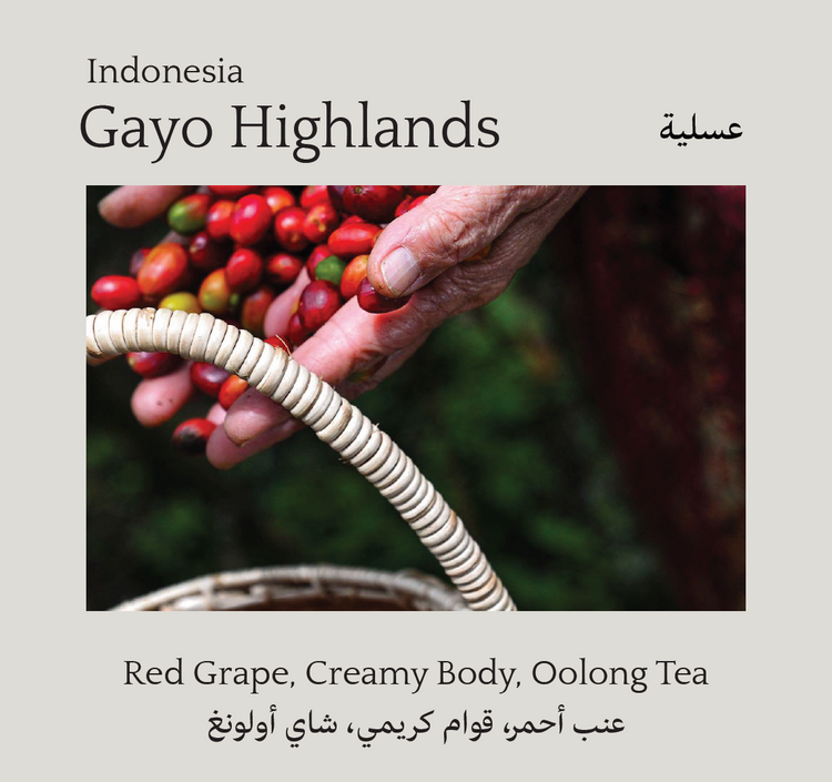 Gayo Highlands, Indonesia