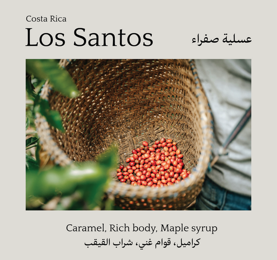 Los Santos, Costa Rica - Mono Roastery
