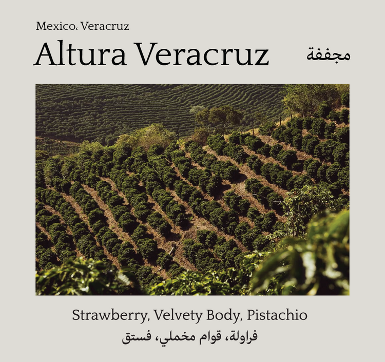 Altura Veracruz, Mexico