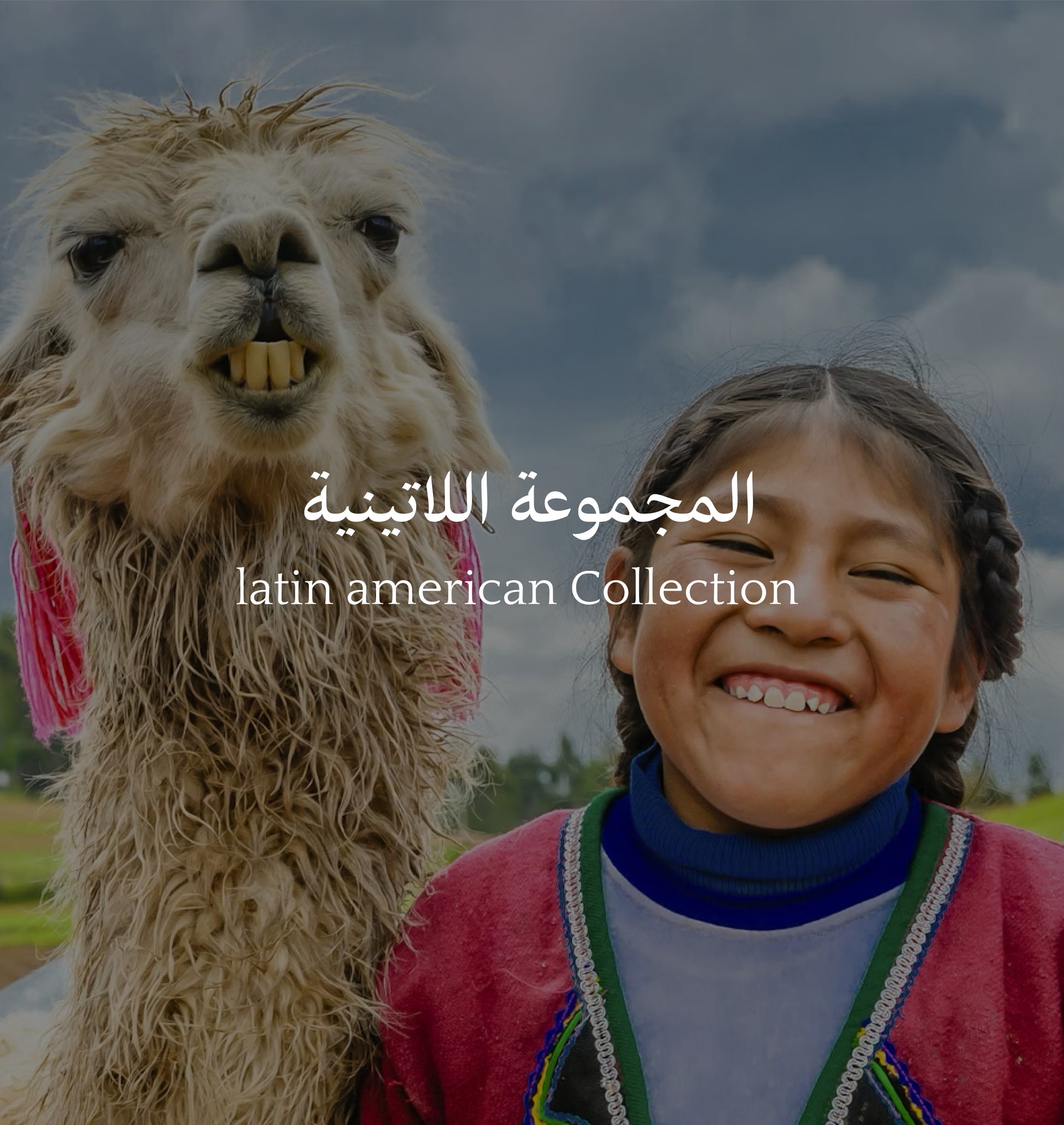 Latin American Collection | المجموعة اللاتينية - Mono Roastery
