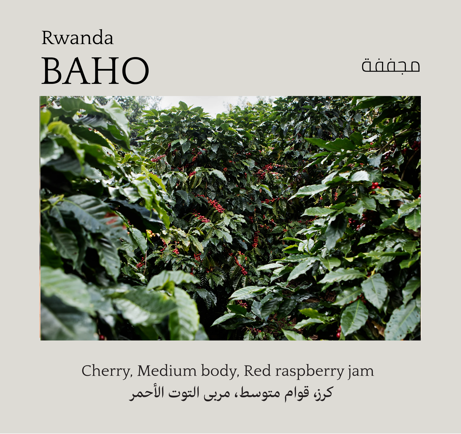 Baho, Rwanda - Mono Roastery