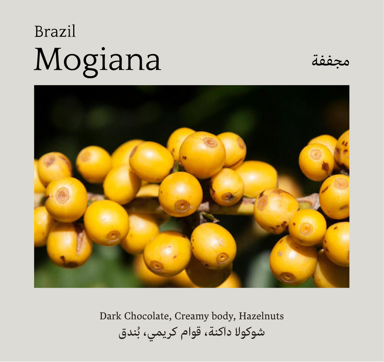 Brazil, Mogiana - Mono Roastery