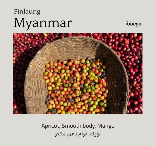 Myanmar, Pinlaung - Mono Roastery