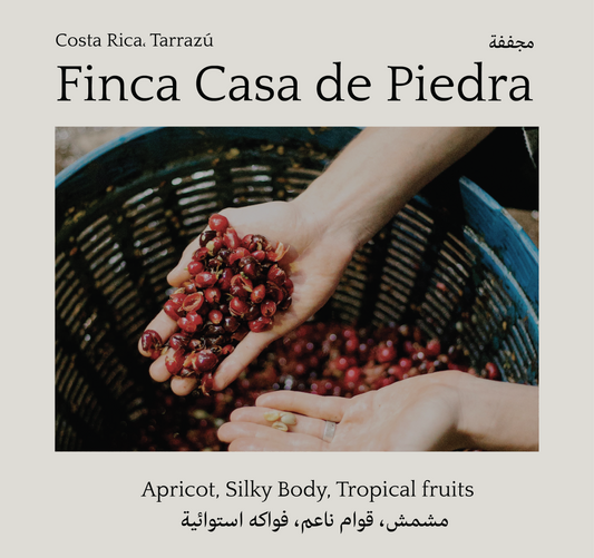 Finca Casa de Piedra, Costa Rica - Mono Roastery