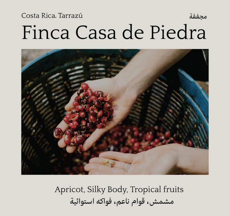 Finca Casa de Piedra, Costa Rica