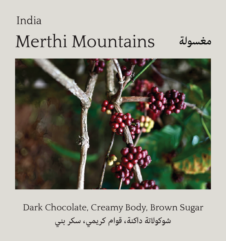 Merthi Mountains, India