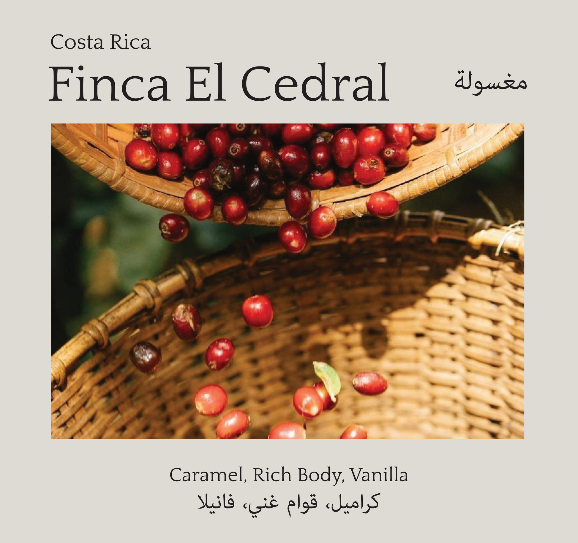 Finca El Cedral، Costa Rica - Mono Roastery