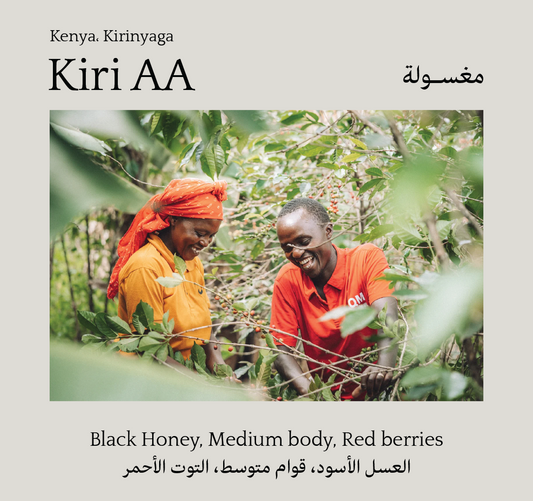 Kiri AA, Kenya
